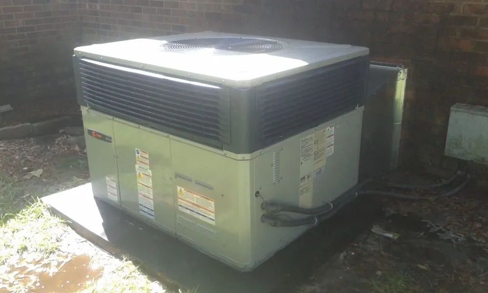 Slide of DR Unique Cleanings