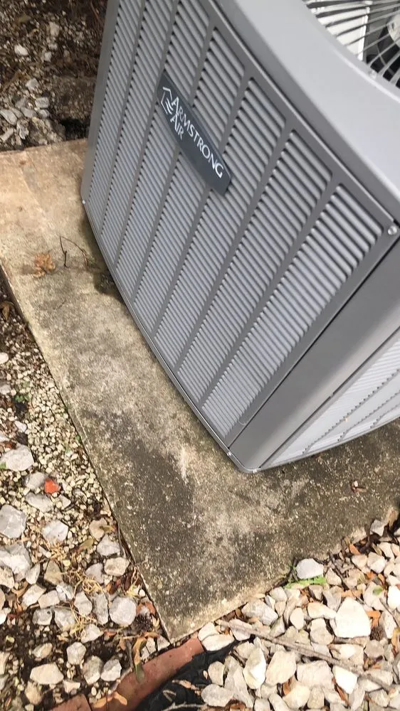 Slide of Dragonfly Mechanical