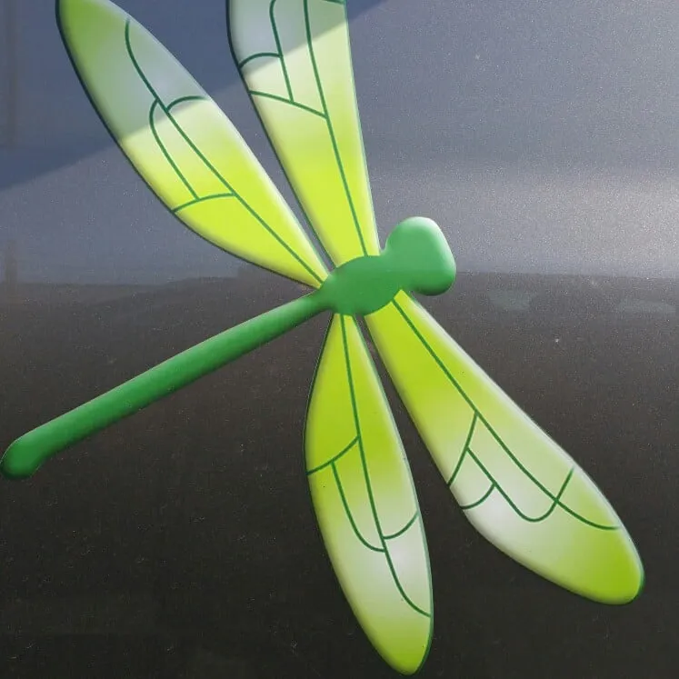 Slide of Dragonfly Mechanical