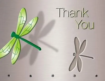 Slide of Dragonfly Mechanical