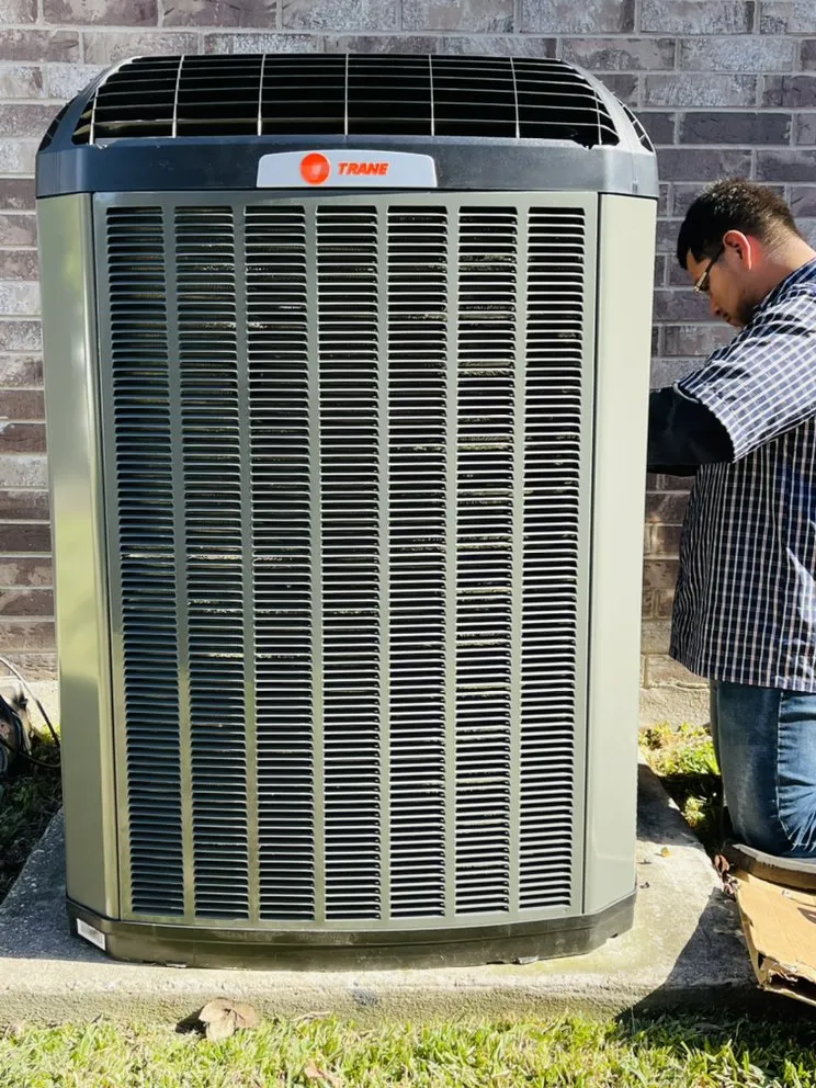 Slide of Dragonfly Mechanical