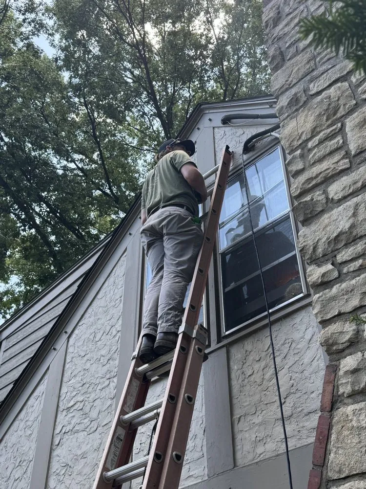 Slide of Dragonfly Mechanical