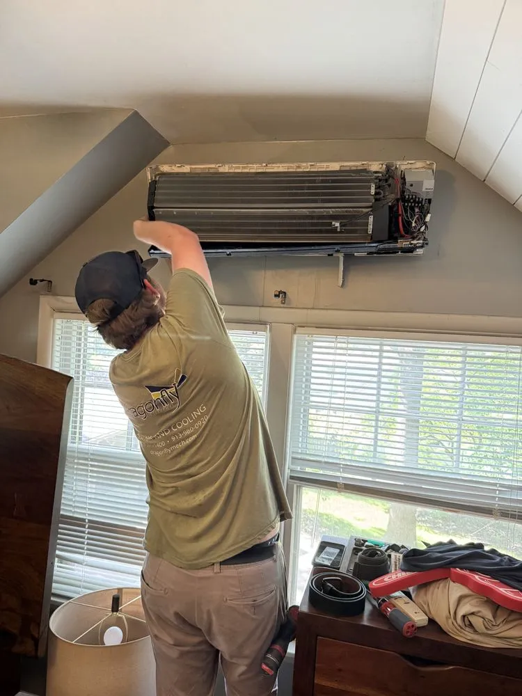 Slide of Dragonfly Mechanical