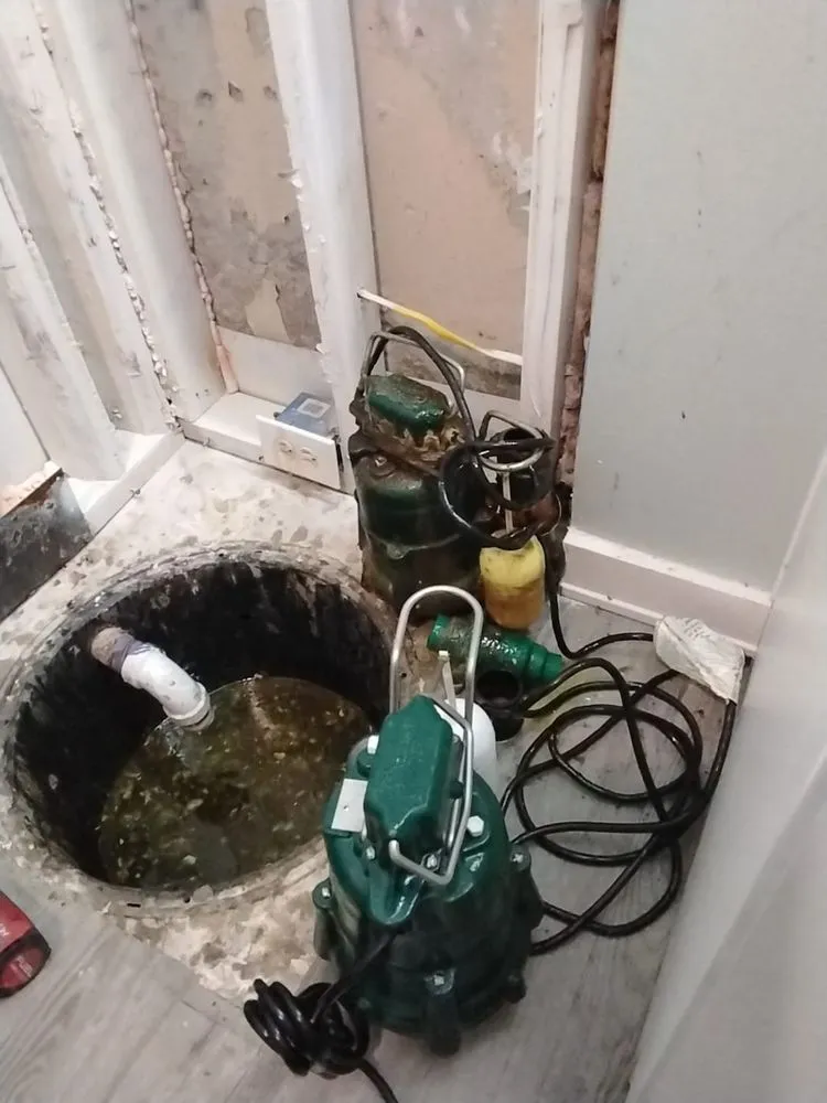 Slide of Dragonfly Mechanical