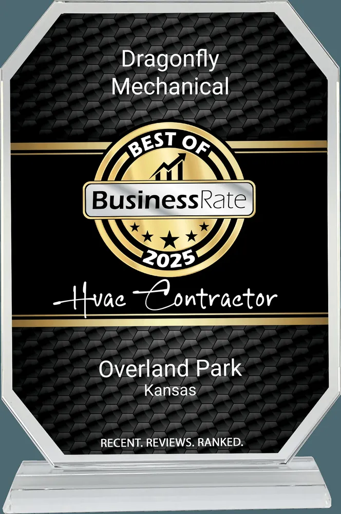 Slide of Dragonfly Mechanical