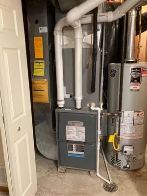 Dragonfly Mechanical