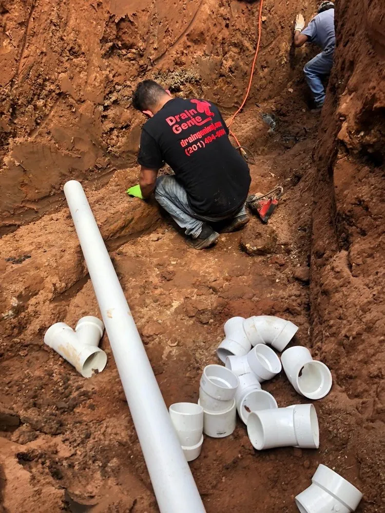 Slide of Drain Genie