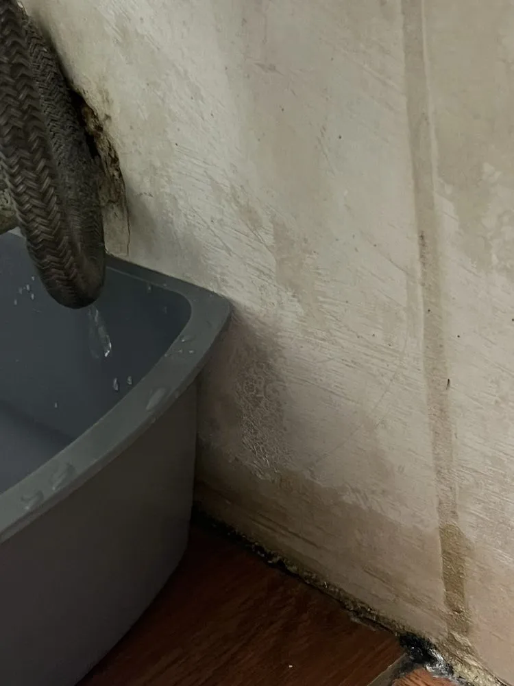 Slide of Drain King Plumbing & Rooter