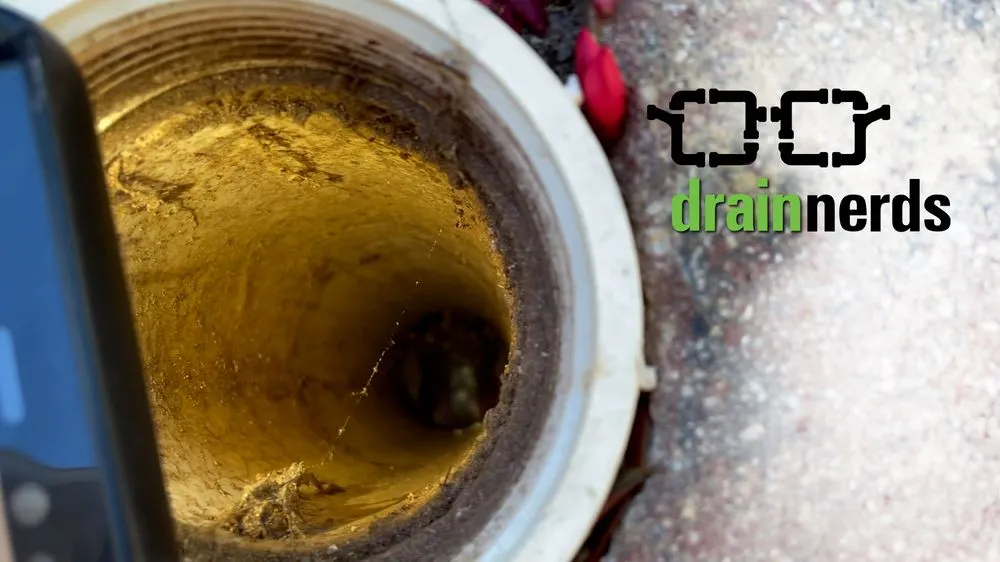 Slide of Drain Nerds