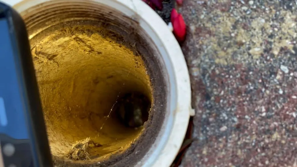 Slide of Drain Nerds