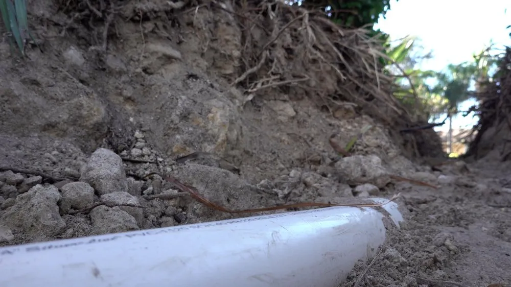 Slide of Drain Nerds