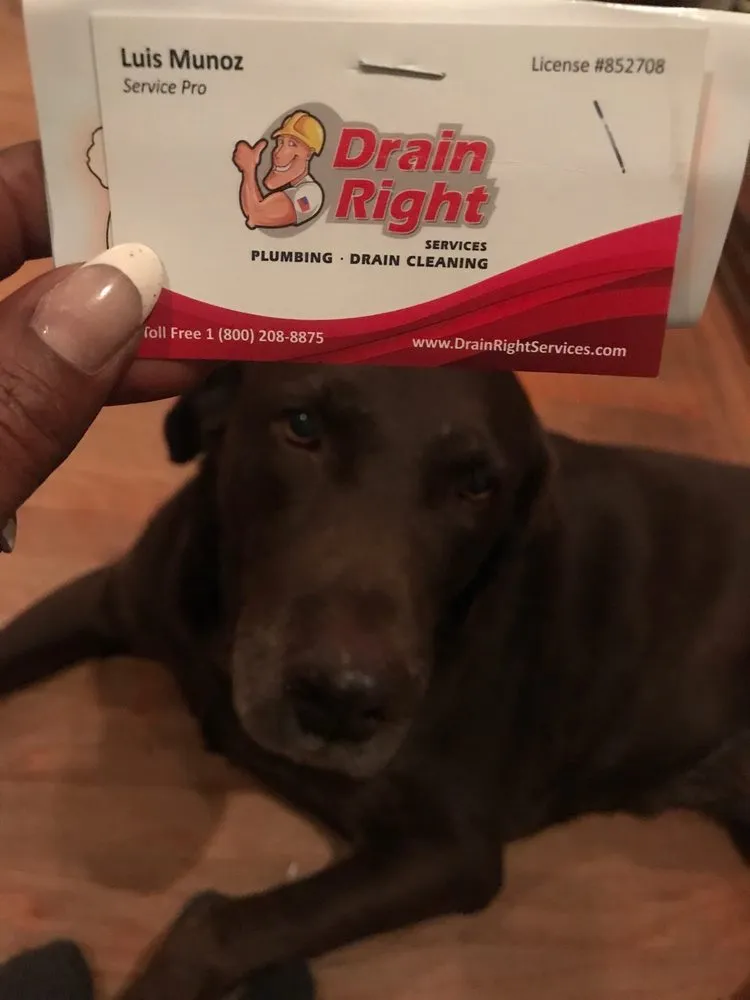 Slide of Drain Right Services