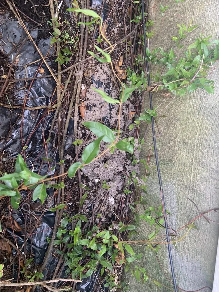 Slide of Drawdy's Heating and Air Conditioning