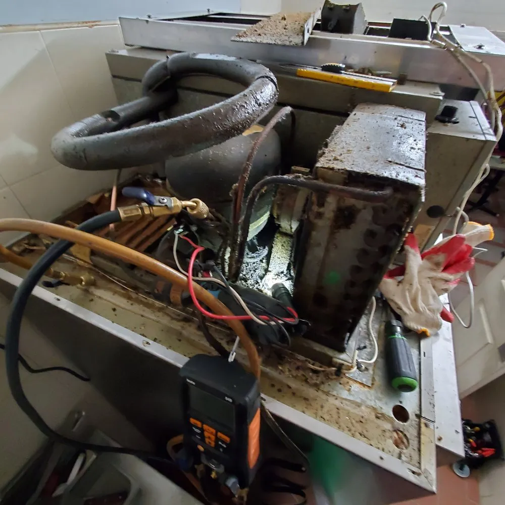 Slide of Dream Climate