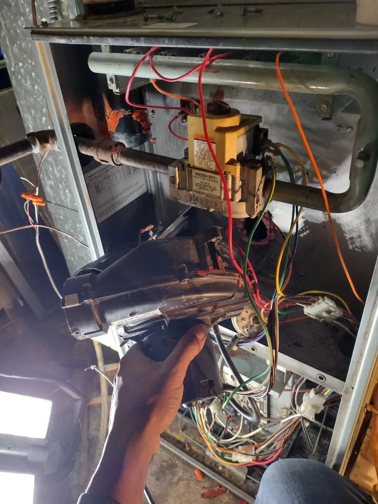 Slide of Dream Starter