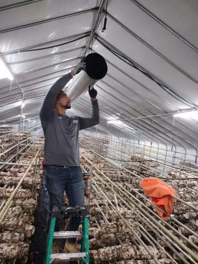 Slide of Dream Starter