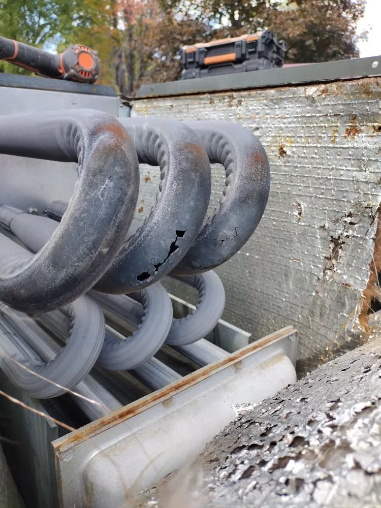 Slide of Dream Starter