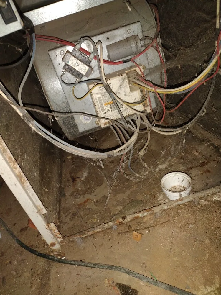 Slide of Dream Starter