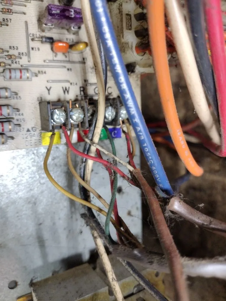 Slide of Dream Starter