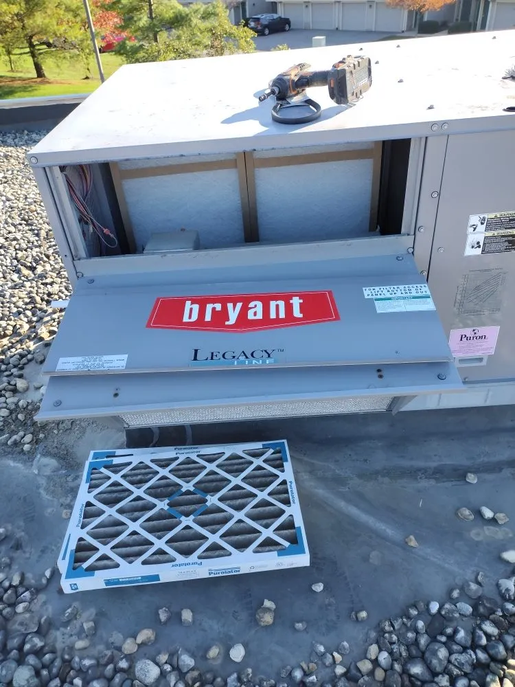 Slide of Dream Starter