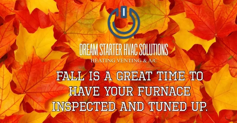 Slide of Dream Starter