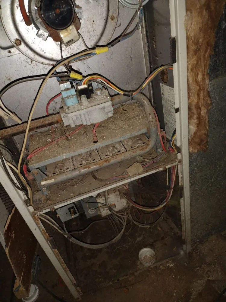 Slide of Dream Starter