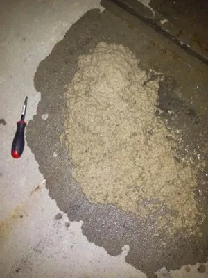 Dryer Clean Out Services Logo