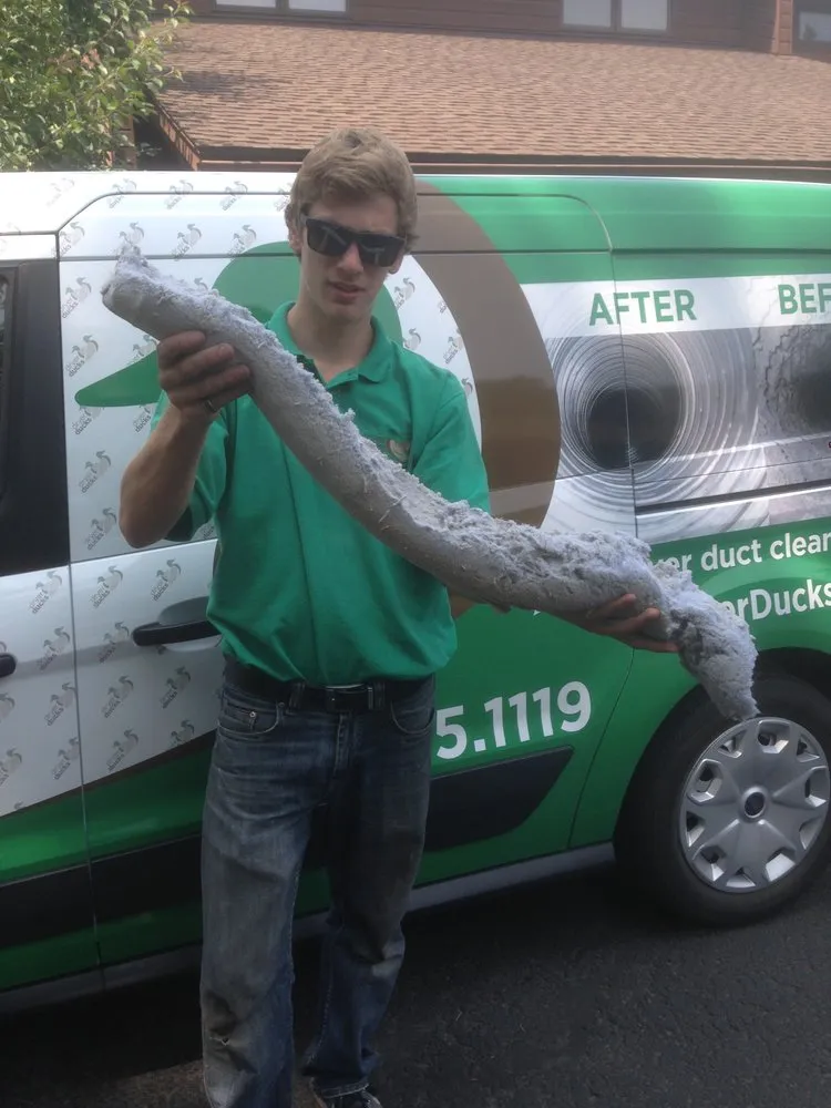 Slide of Dryer Ducks