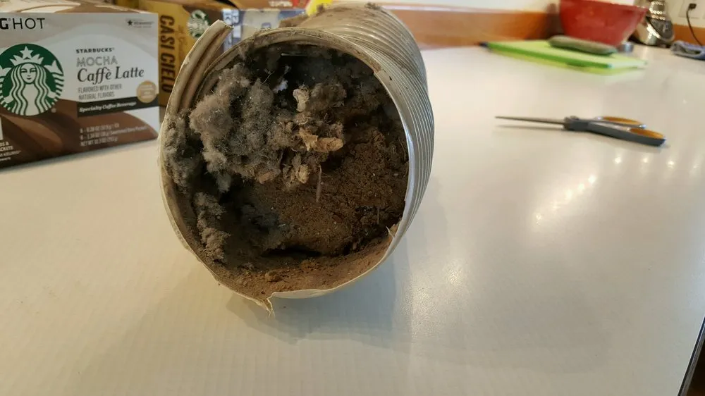 Slide of Dryer Ducks