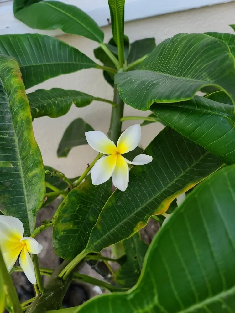Slide of Dryer Vent & Air Duct Cleaning