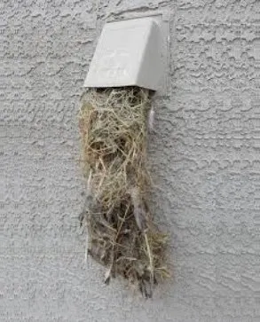 Slide of Dryer Ventz Duct Ventz Cleaning