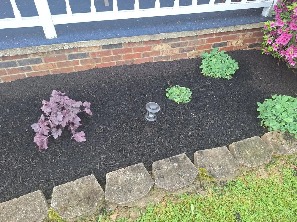 Slide of D&S Construction Mobile Home Repair