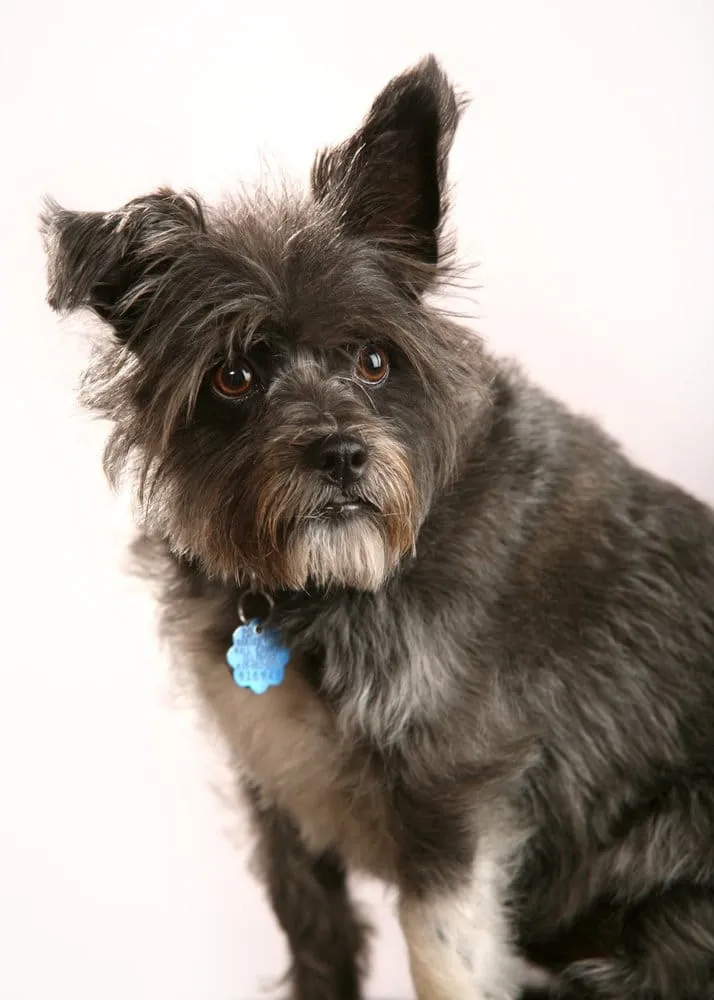 Slide of Duall Heating & Cooling