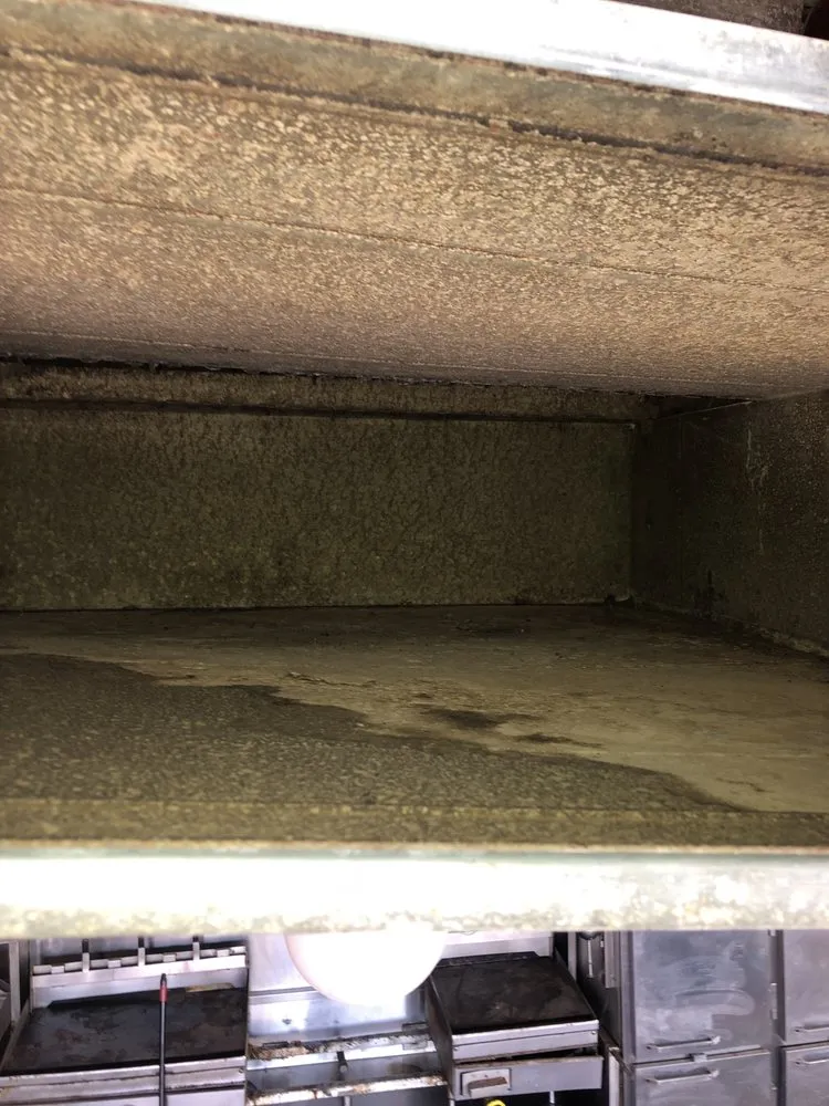 Slide of Ducks Duct Cleaning