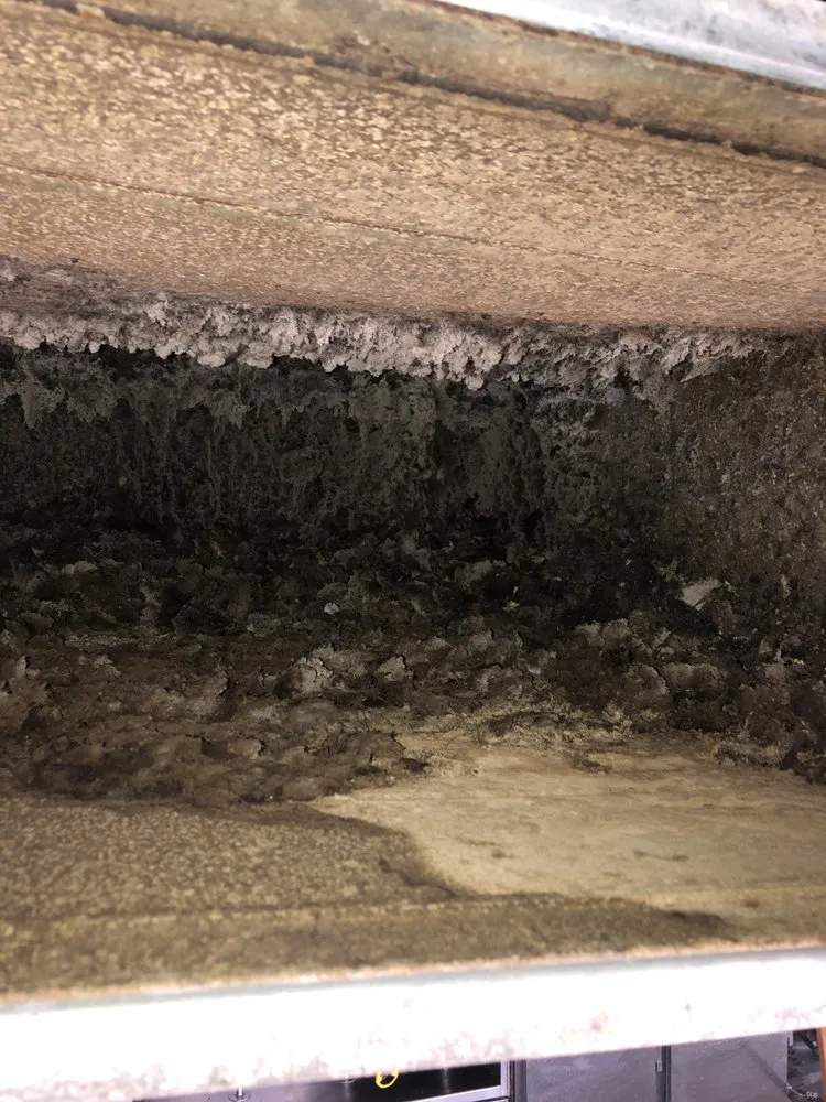 Slide of Ducks Duct Cleaning