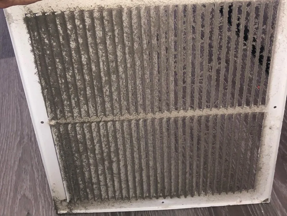 Slide of Ducks Duct Cleaning