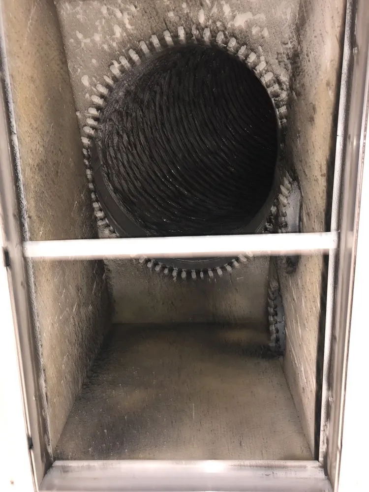 Slide of Ducks Duct Cleaning