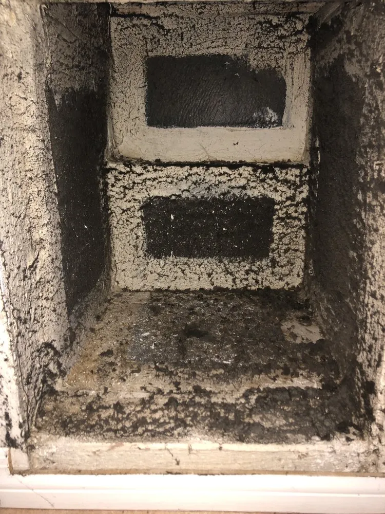 Slide of Ducks Duct Cleaning