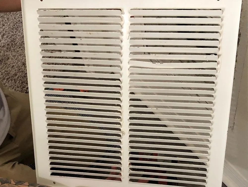 Slide of Ducks Duct Cleaning