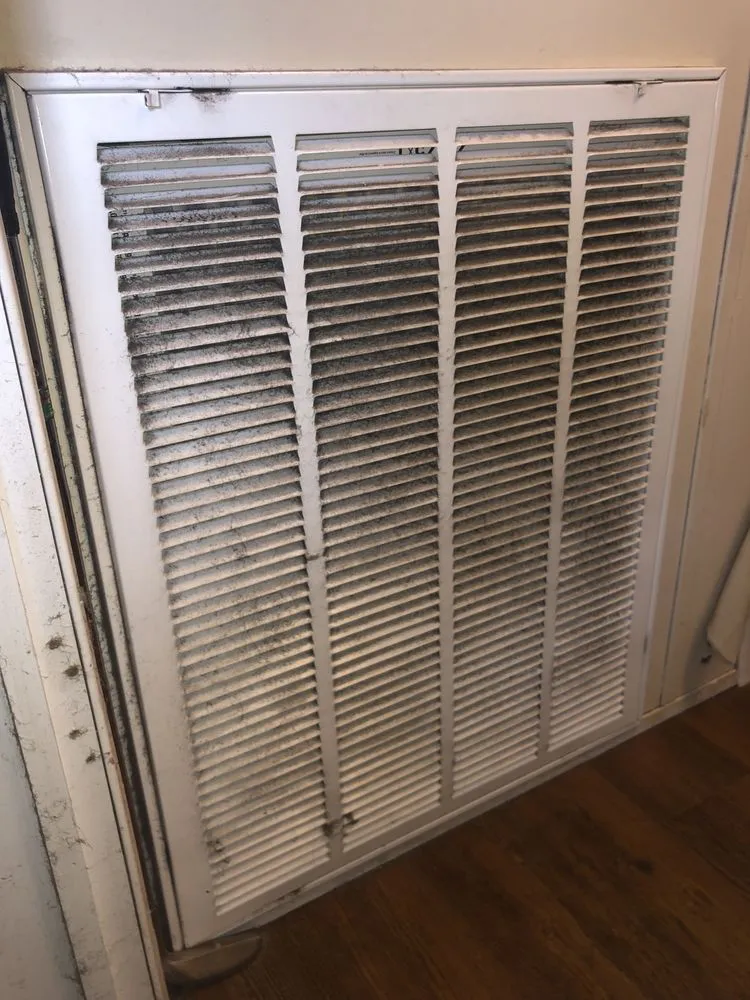 Slide of Ducks Duct Cleaning