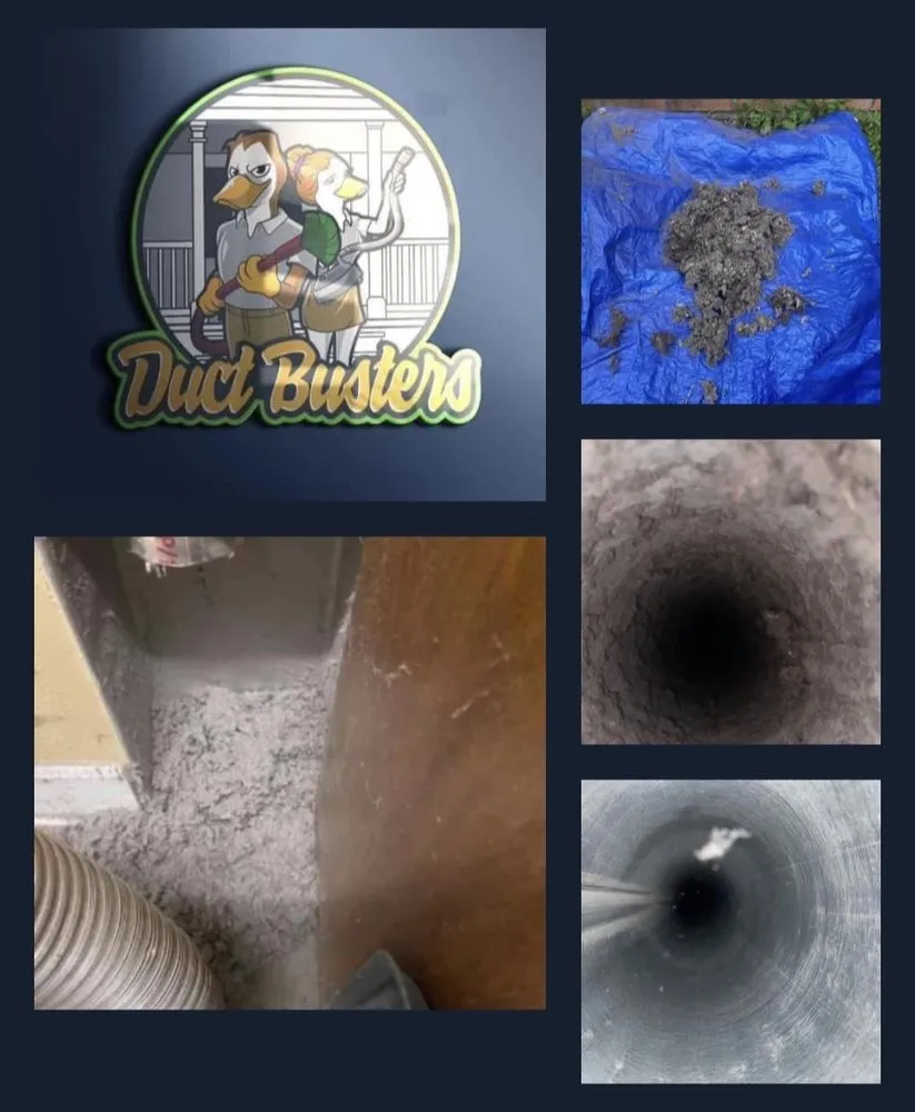 Slide of Duct Busters