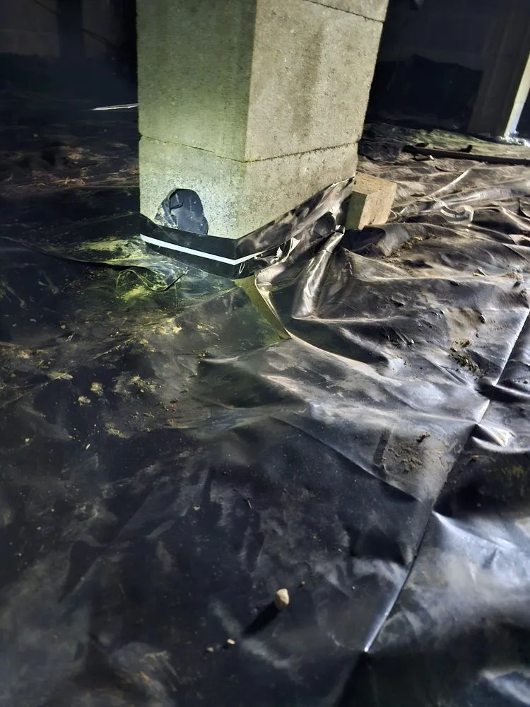 Slide of Duct Busters