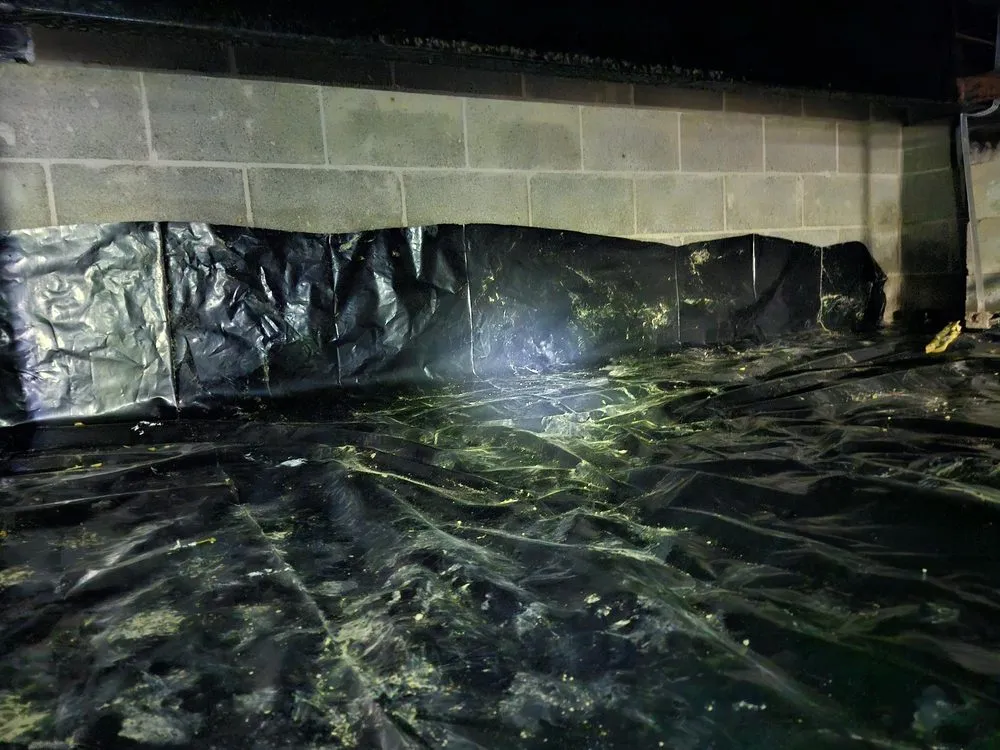 Slide of Duct Busters