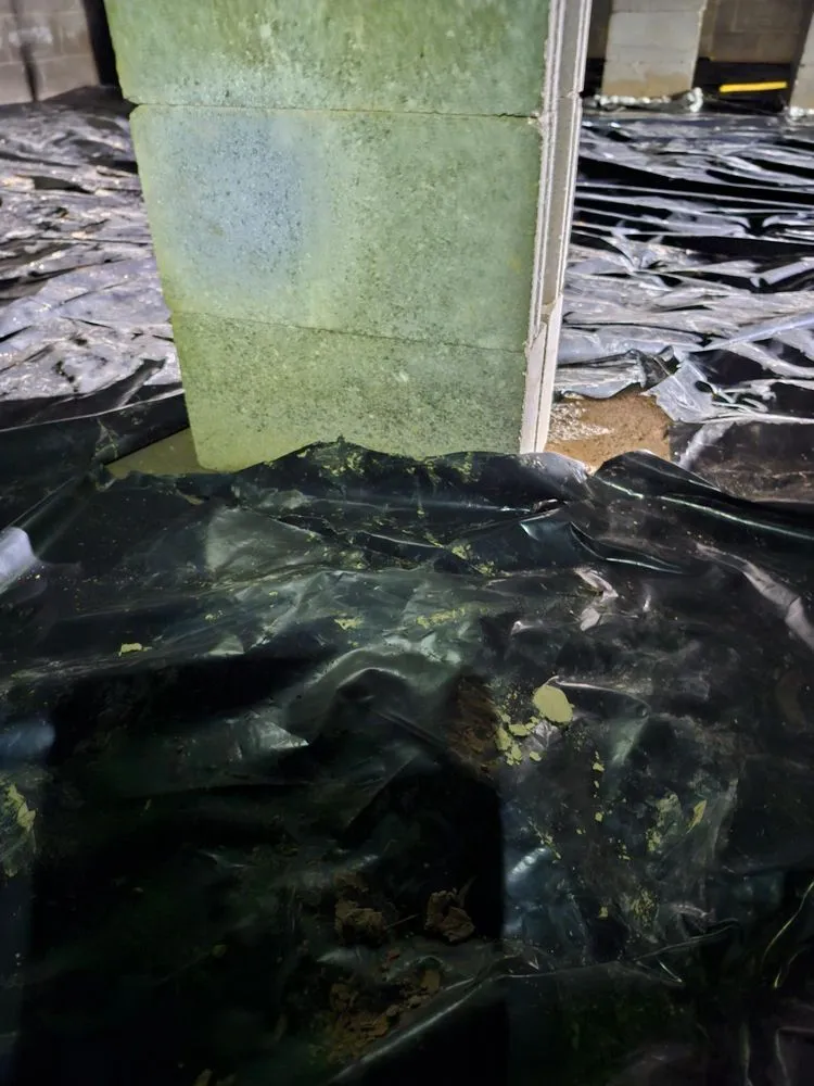 Slide of Duct Busters