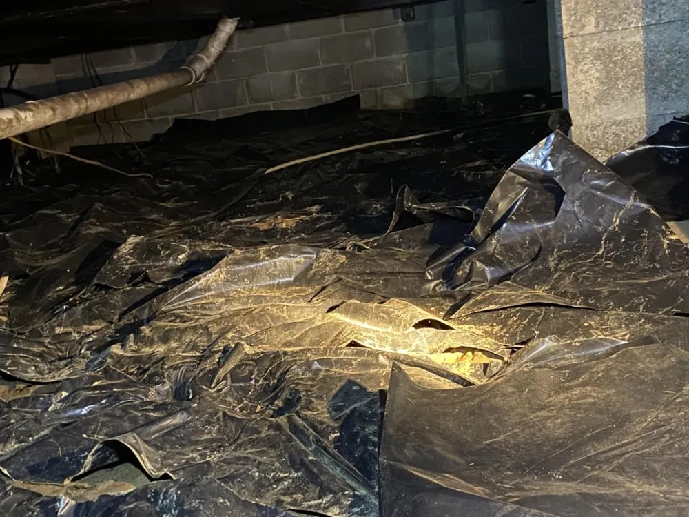 Slide of Duct Busters