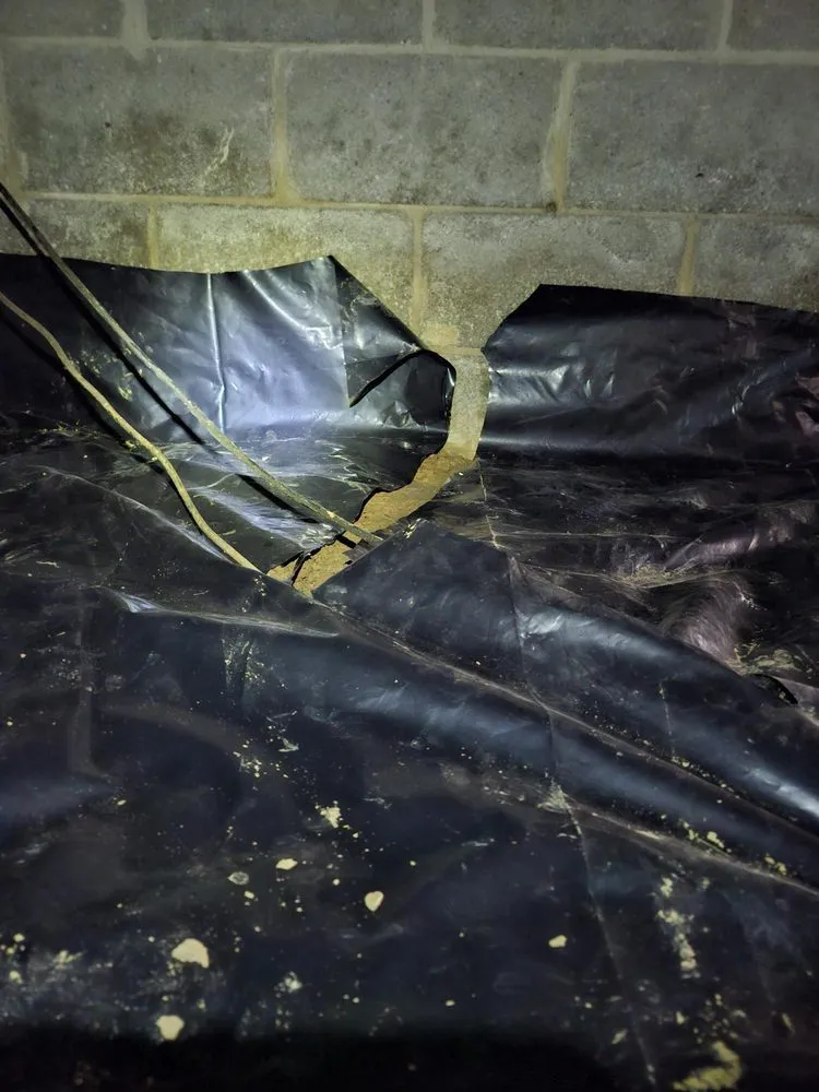 Slide of Duct Busters