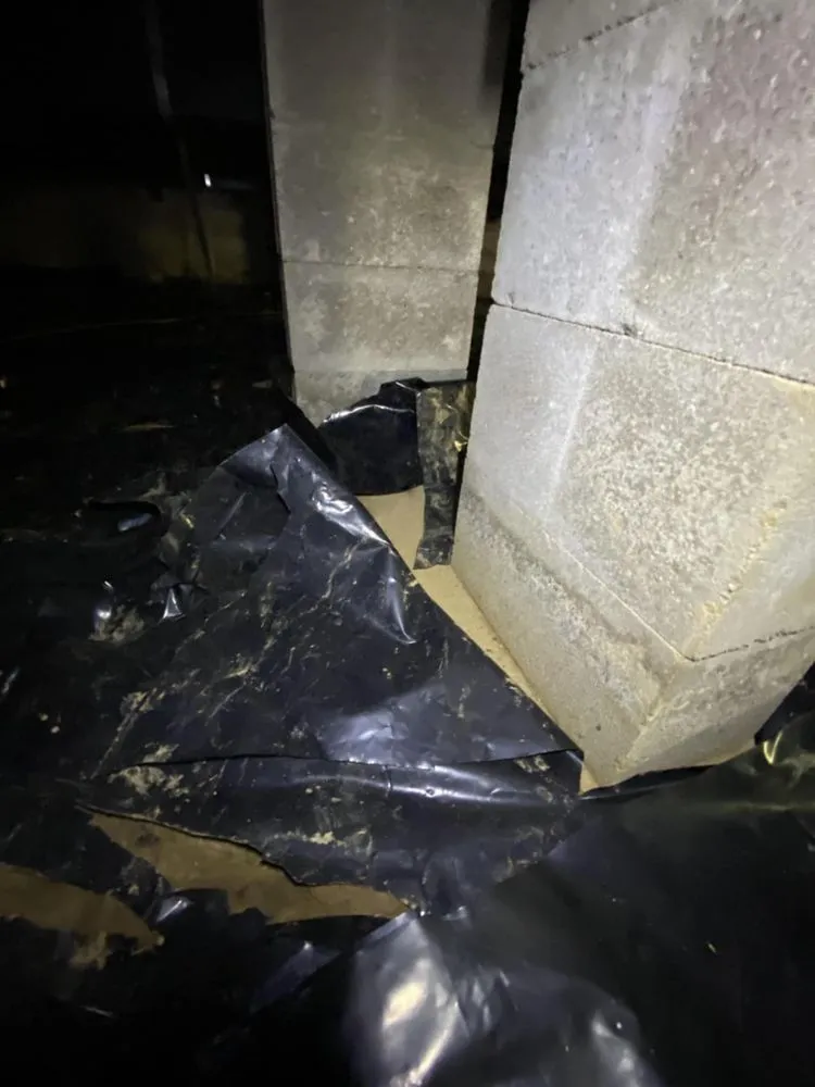 Slide of Duct Busters