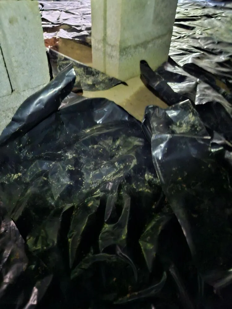 Slide of Duct Busters