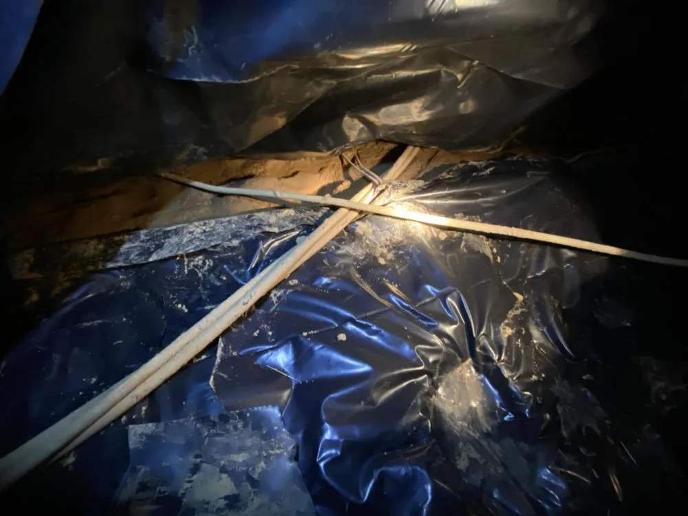 Slide of Duct Busters