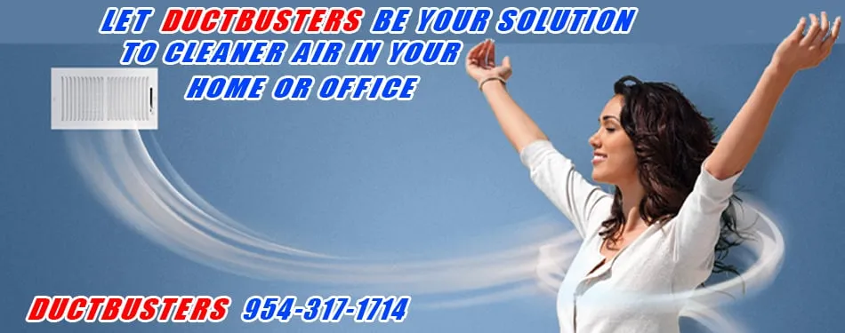 Slide of Duct Busters